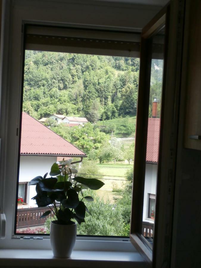 Apartma Ana Dreznica Kobarid Dış mekan fotoğraf