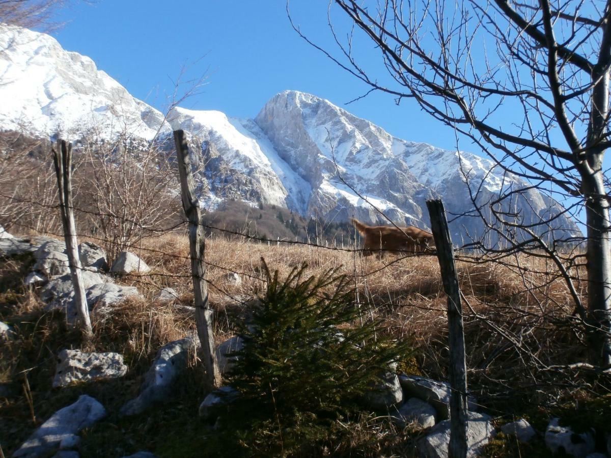 Apartma Ana Dreznica Kobarid Dış mekan fotoğraf
